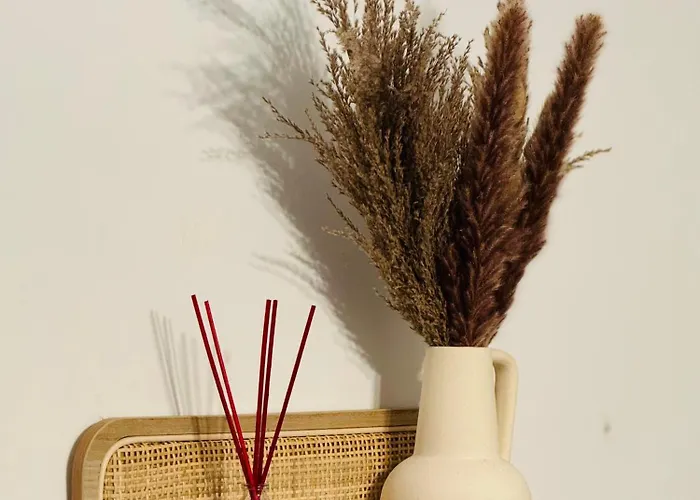 Cosy Au Port De Hyères