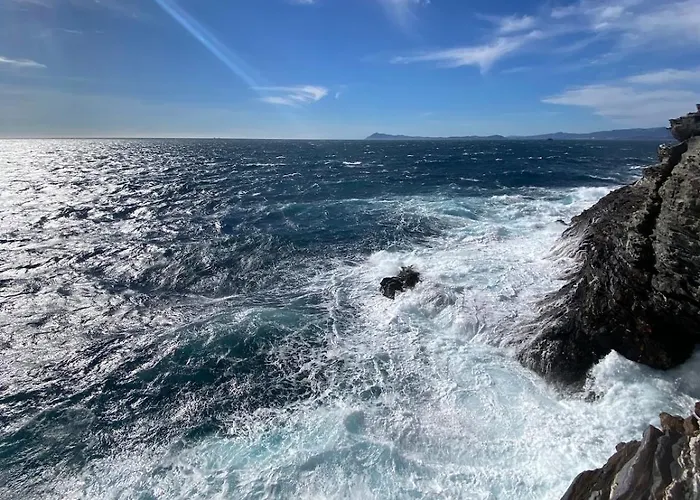 Cosy Au Port De Appartement