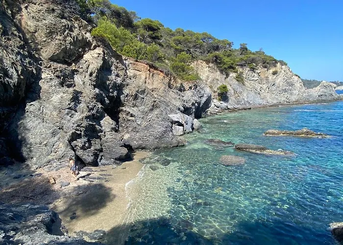 Cosy Au Port De Hyères